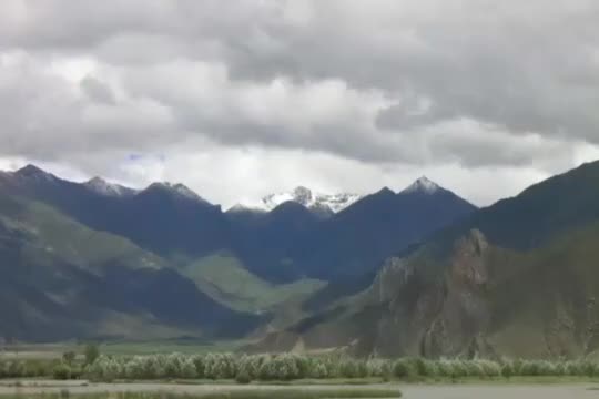 《华严经》第195讲【第四会夜摩天宫】十行品13