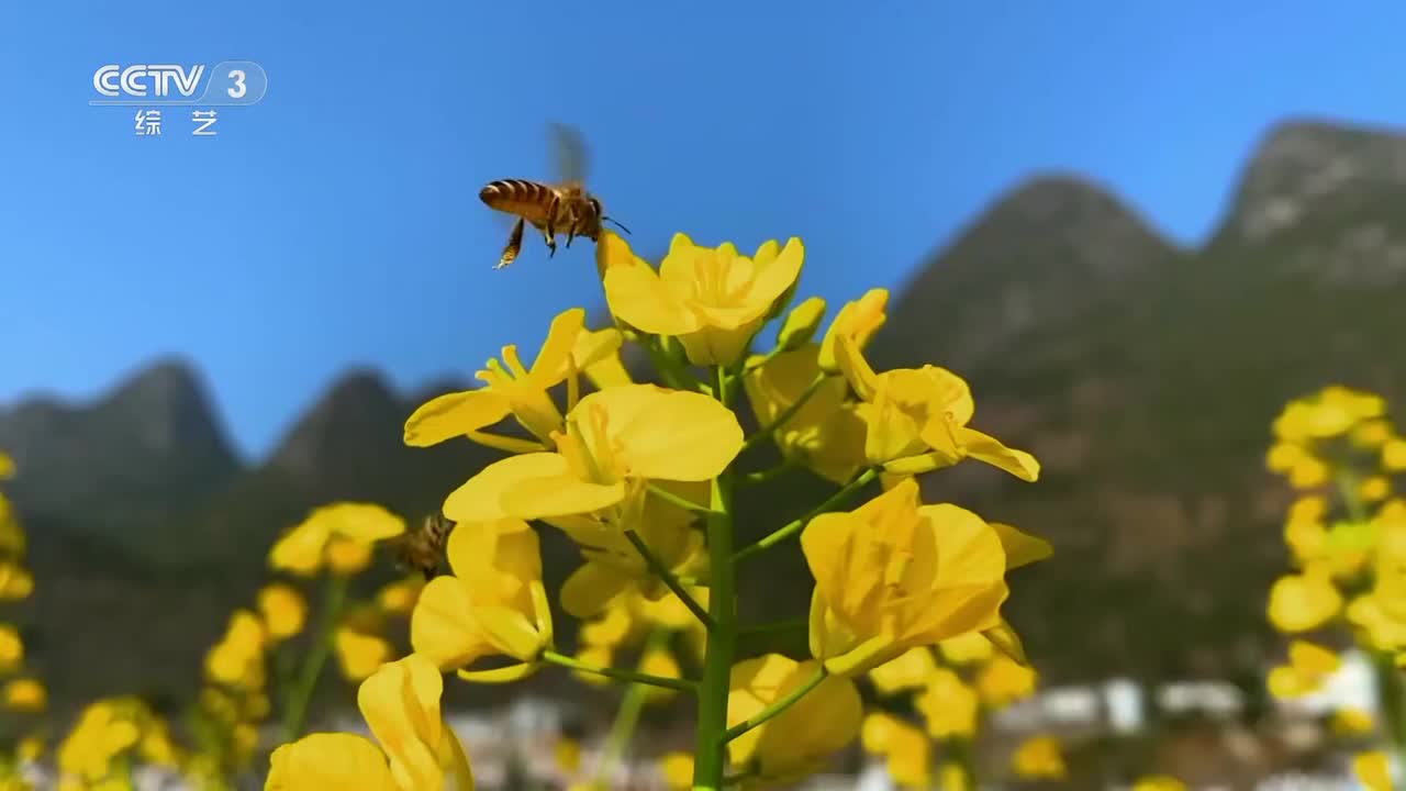 03 2024春季包装-ID1(20240404)