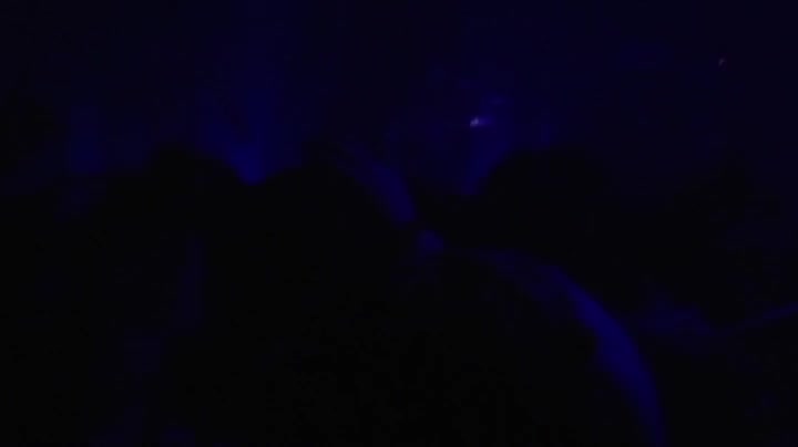 2006 マニヘブ1 パッパラ