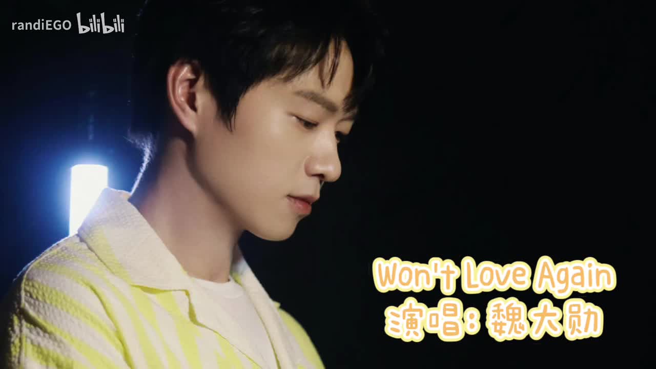 Won't Love Again