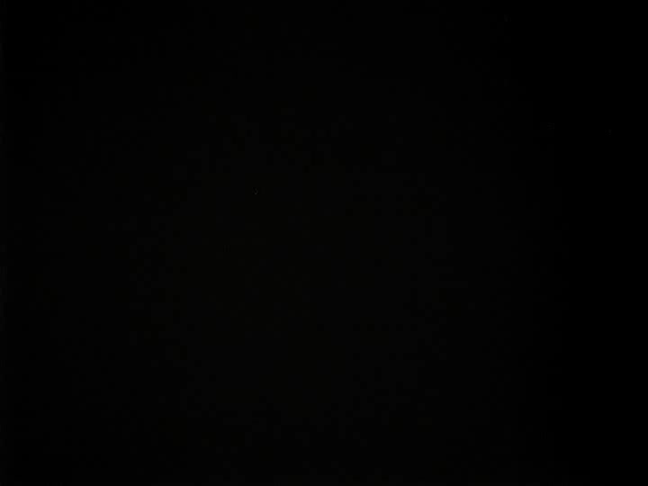 S01 Good Night, Gorilla