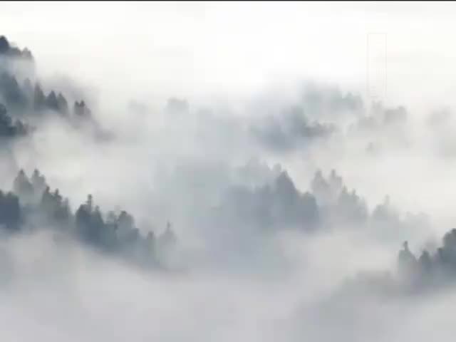 攝大乘論22問答