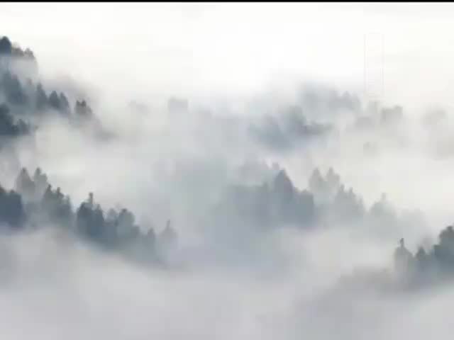 攝大乘論43問答