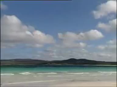 《蜻蛙记》2吴南野 刘长芳