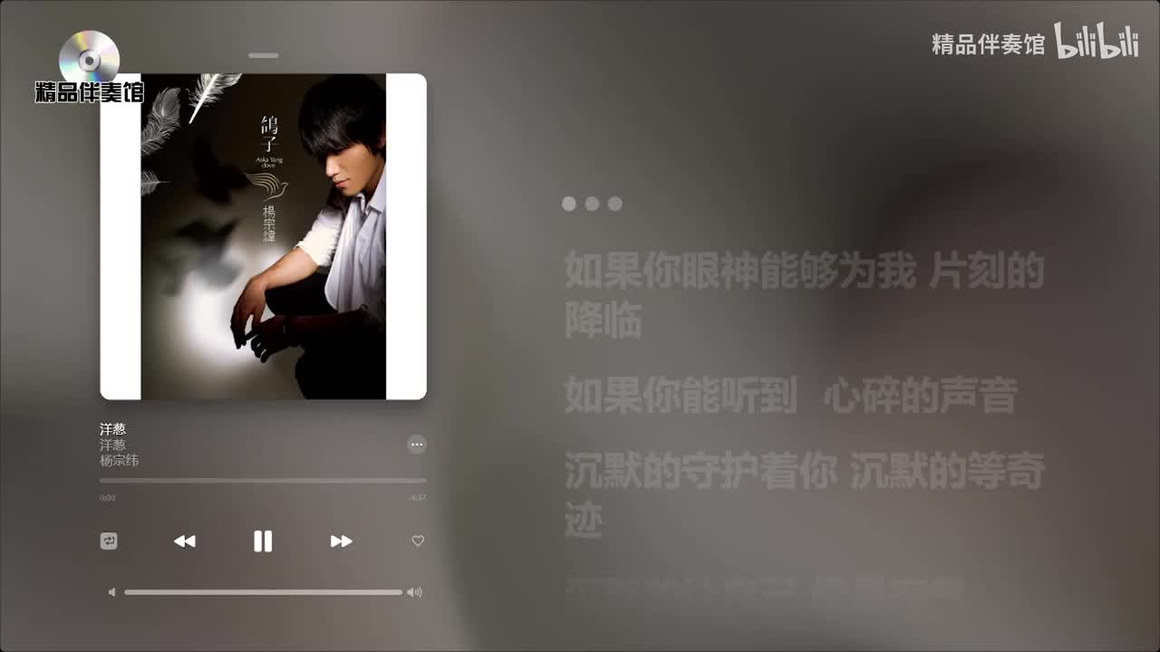 洋葱-杨宗纬-立体声伴奏