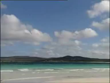 《蜻蛙记》6吴南野 刘长芳