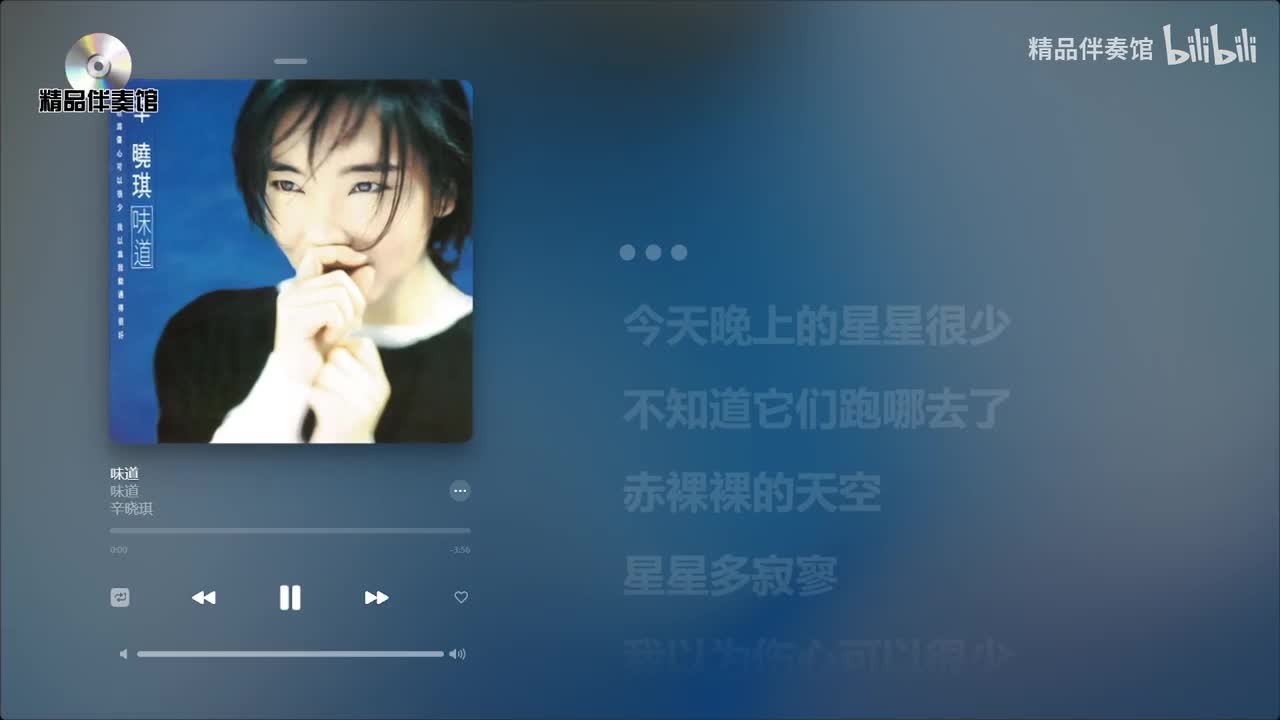 味道-辛晓琪-立体声伴奏