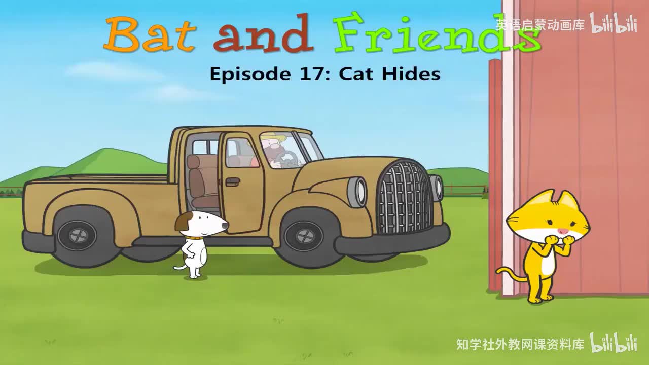 18.Cat Hides