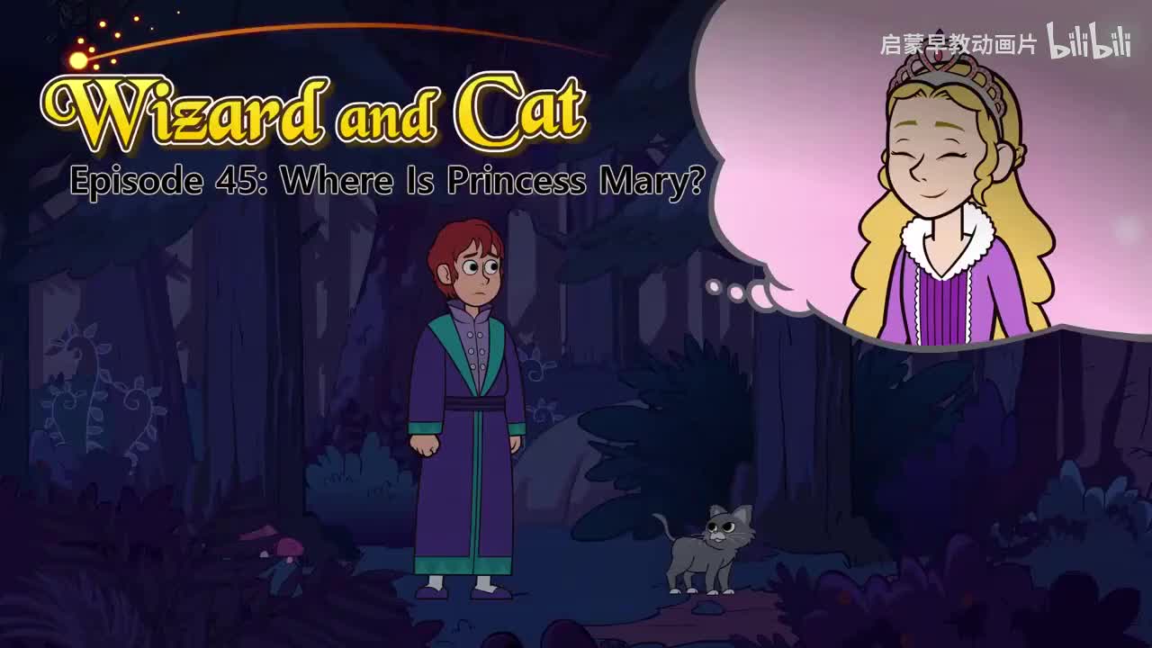 045_Wizard and Cat 45_Where Is Princess Mary