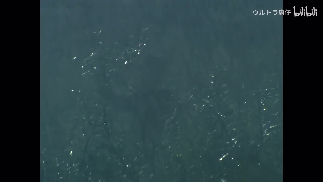 33.怪兽使者和少年（上）