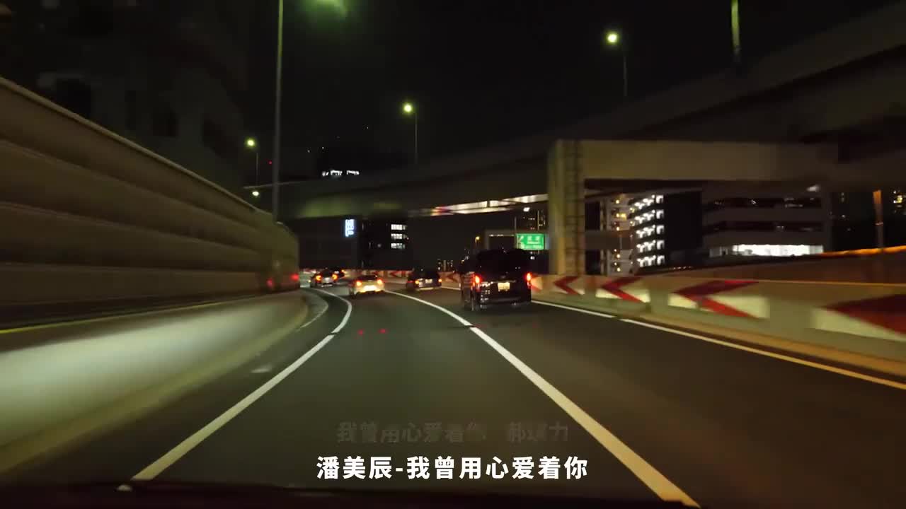 056. 我曾用心爱着你 - 郝琪力