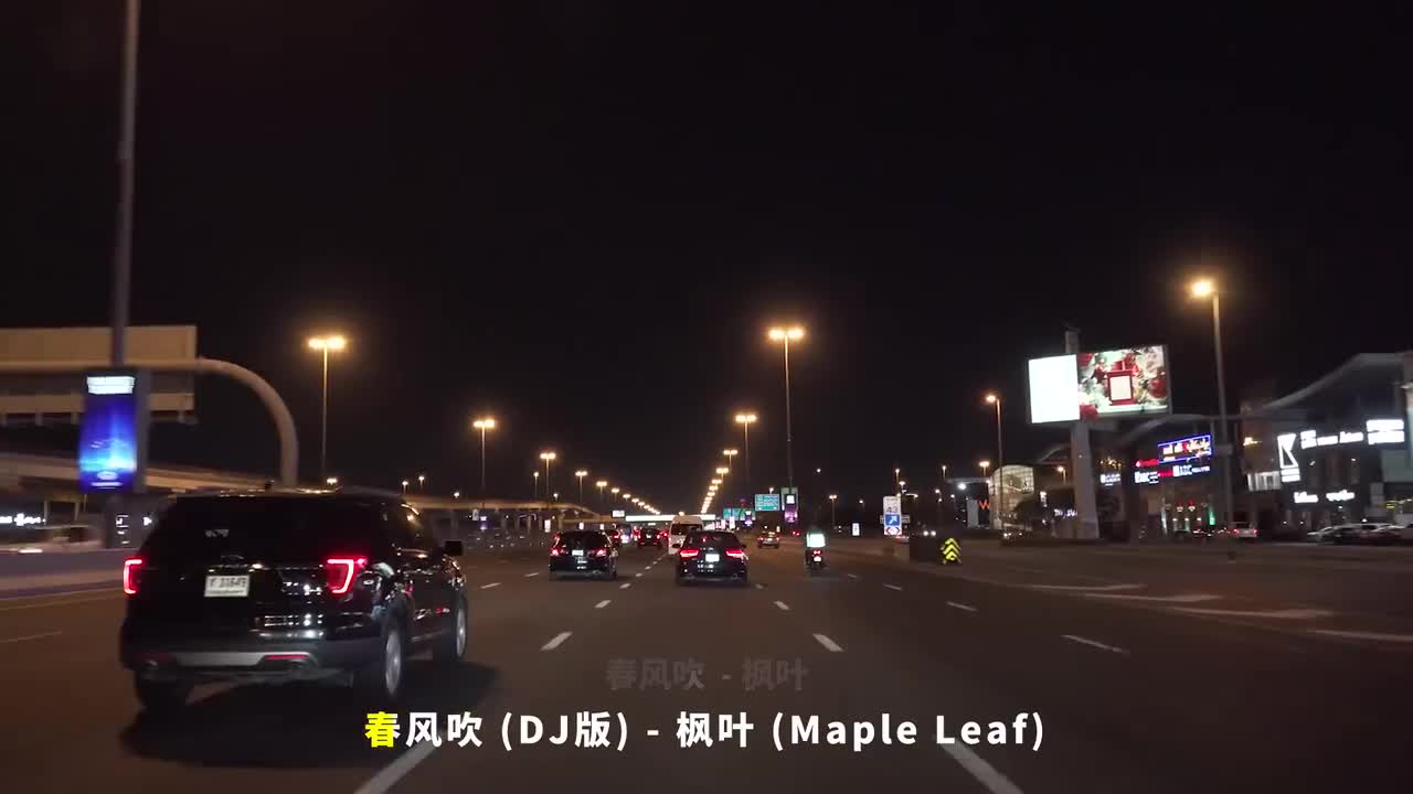 037. 春风吹 (DJ版) - 枫叶