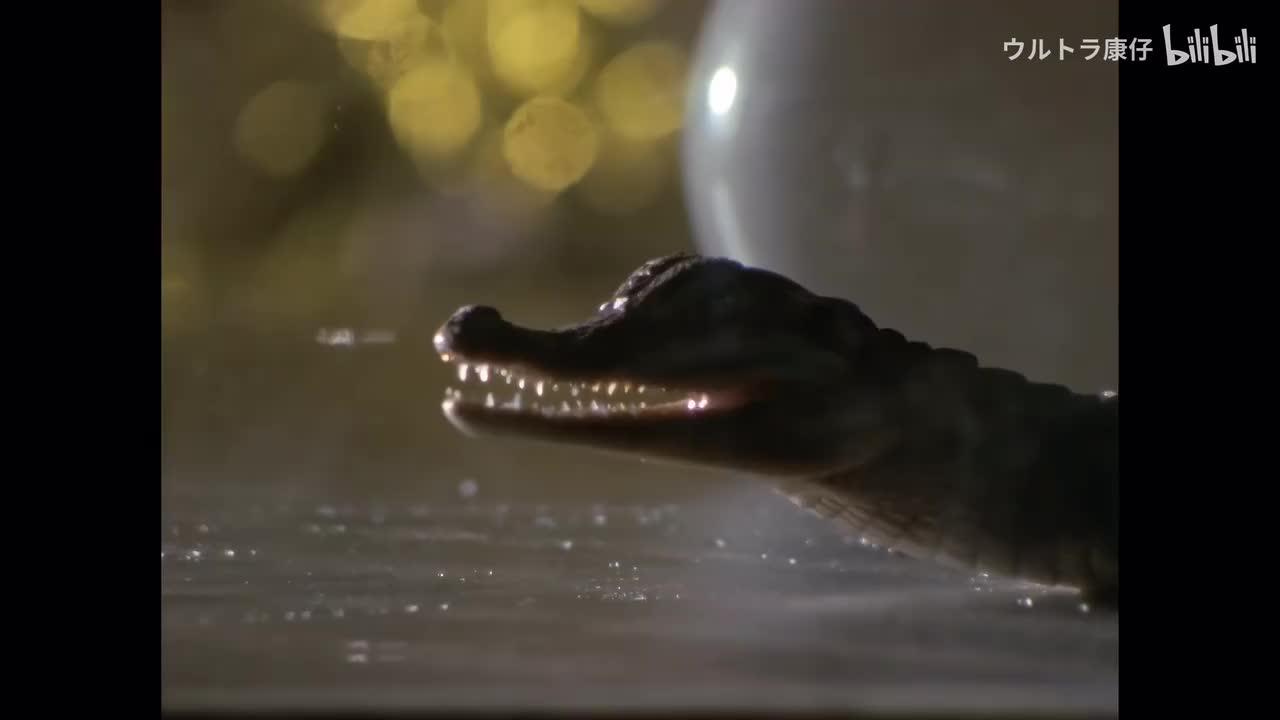 6.追踪变身超兽之谜！(上）