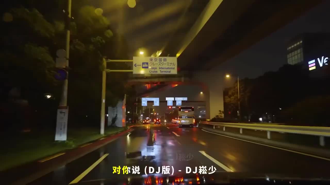 032. 对你说 (DJ版) - DJ崧少