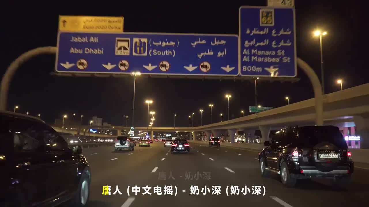 014. 唐人 (中文电摇) - 奶小深