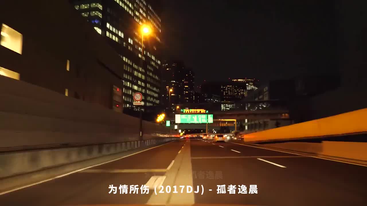 028. 为情所伤 (2017DJ) - 孤者逸晨