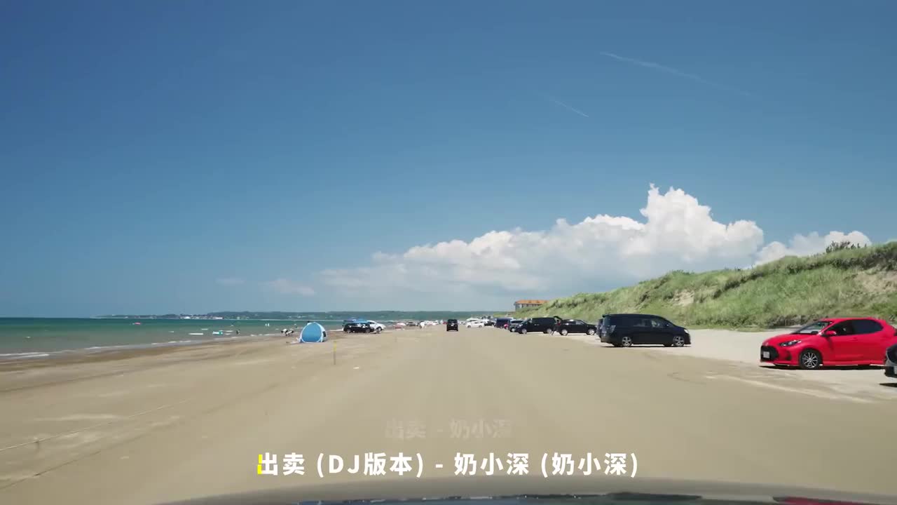 018. 出卖 (DJ版本) - 奶小深