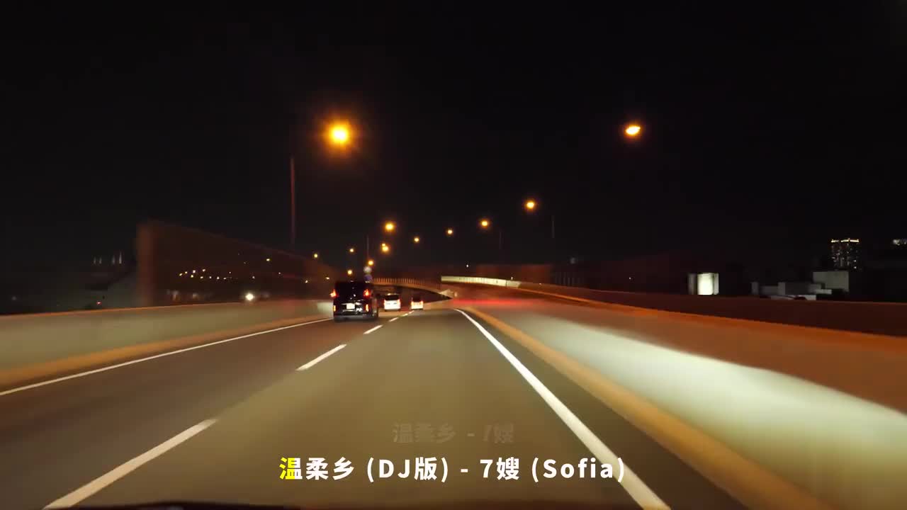 030. 温柔乡 (DJ版) - 7嫂