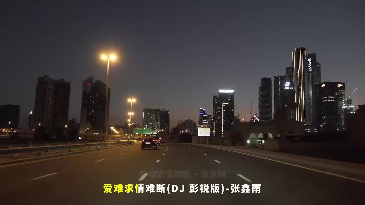 070. 爱难求情难断 (DJ彭锐版) - 张鑫雨