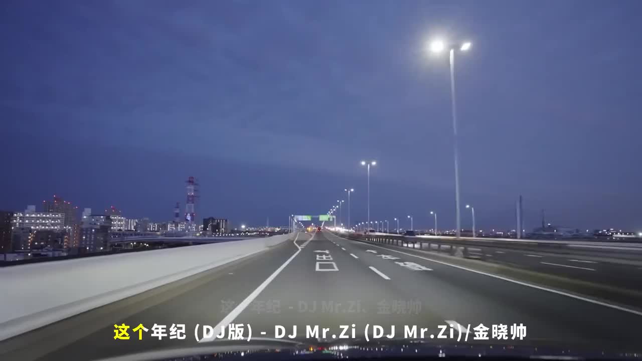 012. 这个年纪 (DJ版) - DJ Mr.Zi、金晓帅