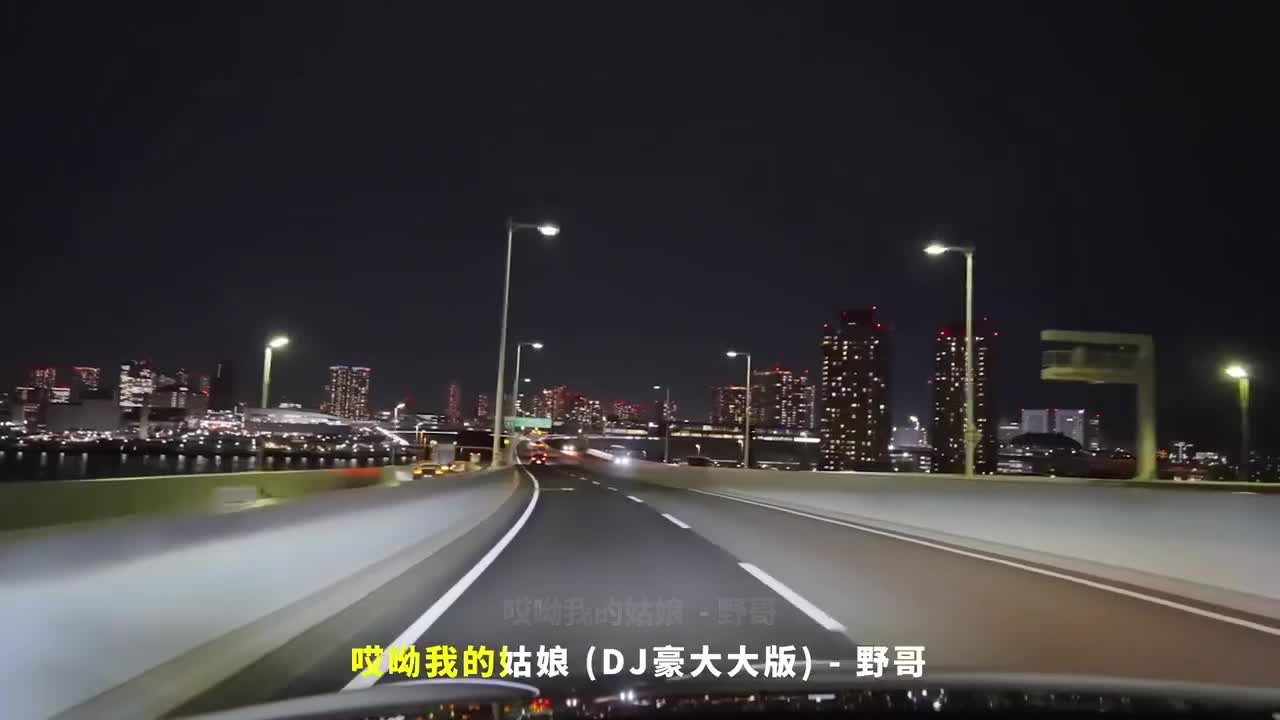 103. 哎呦我的姑娘 (DJ豪大大版) - 野哥