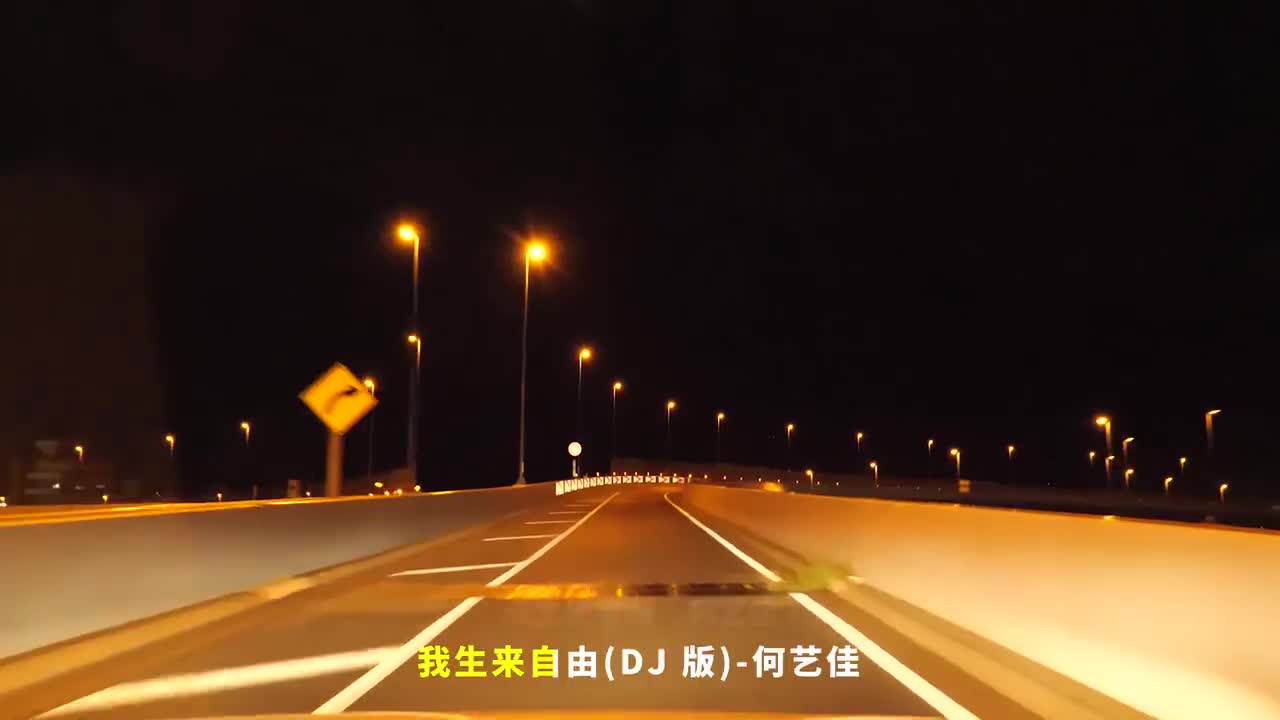 101. 我生来自由 (DJ版) - 何艺佳