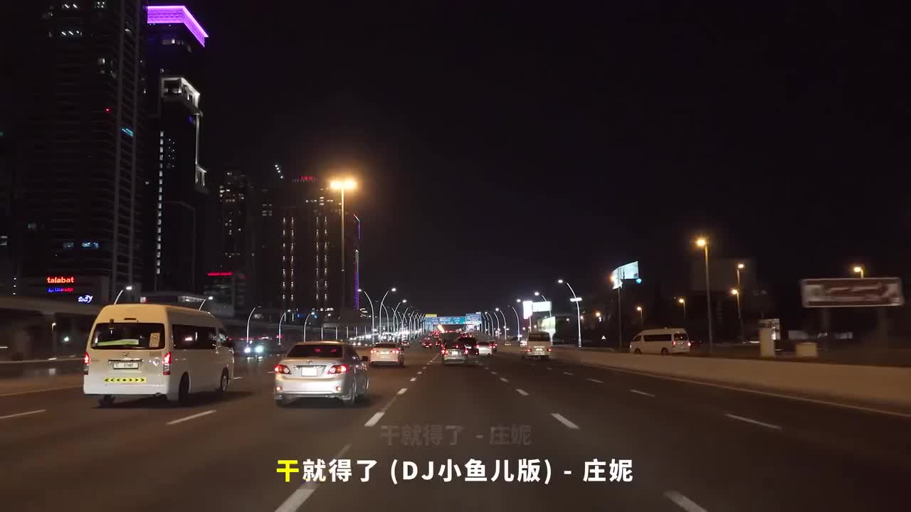 114. 干就得了 (DJ小鱼儿版) - 庄妮