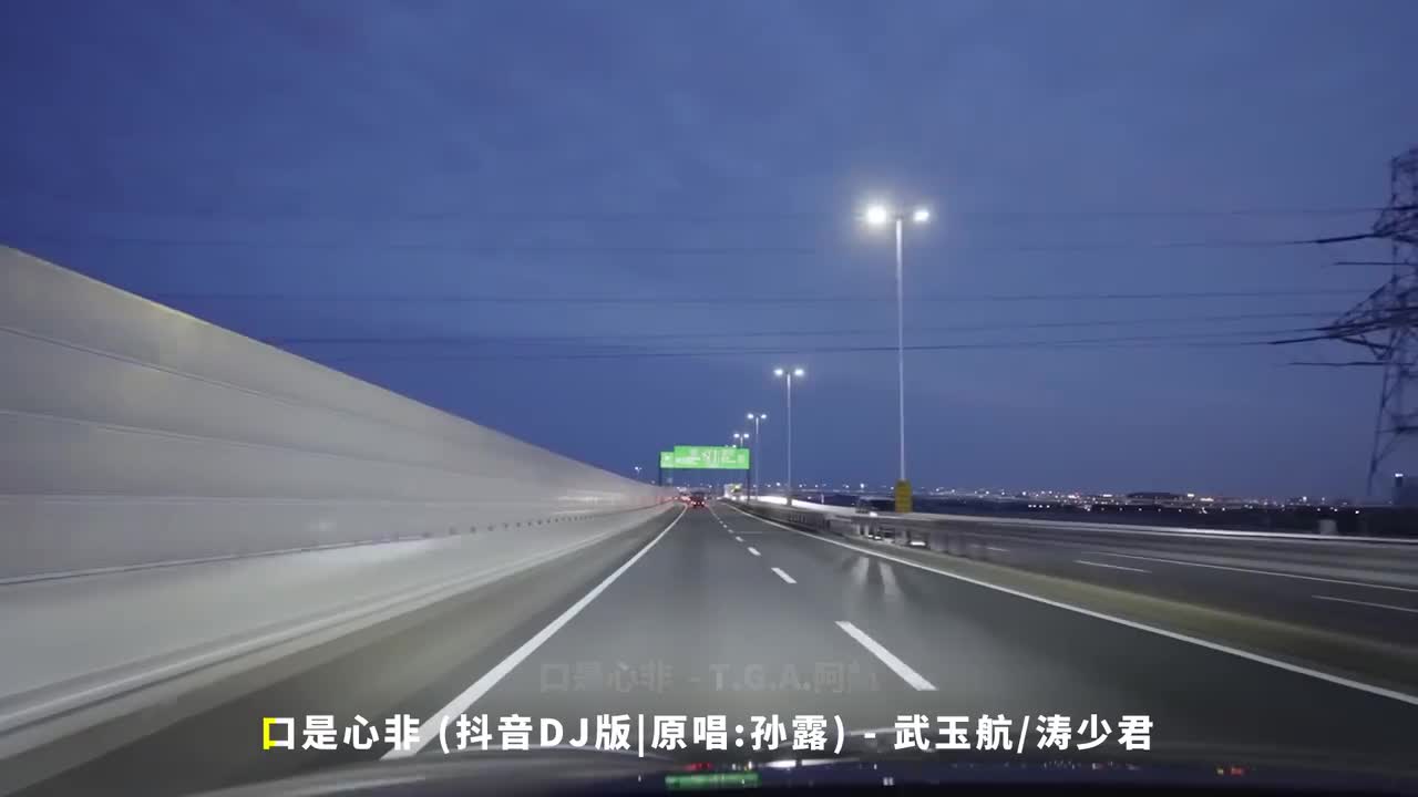 110. 口是心非 (DJ小鱼儿版改编版原唱 张雨生) - T.G.A.阿航