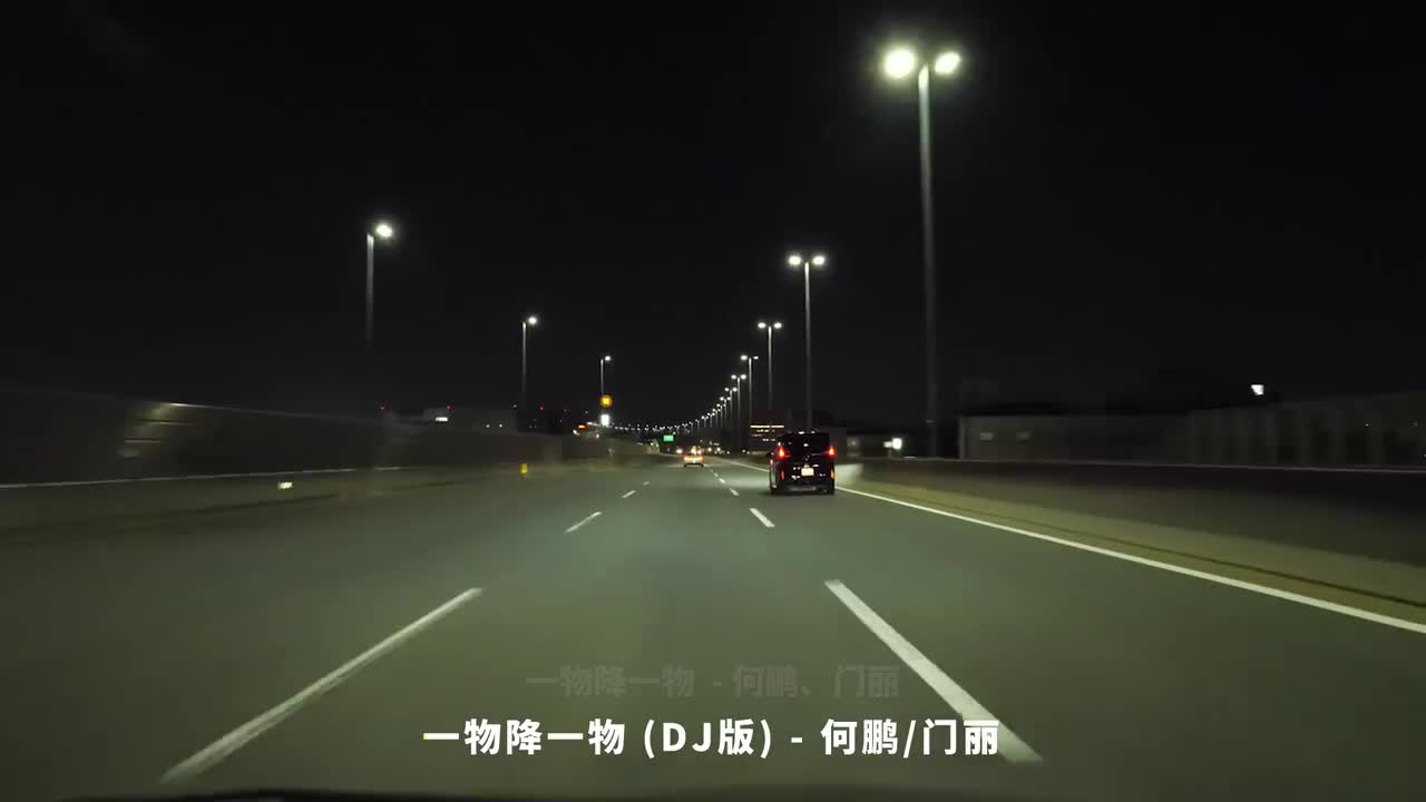 088. 一物降一物 (DJ版) - 何鹏、门丽