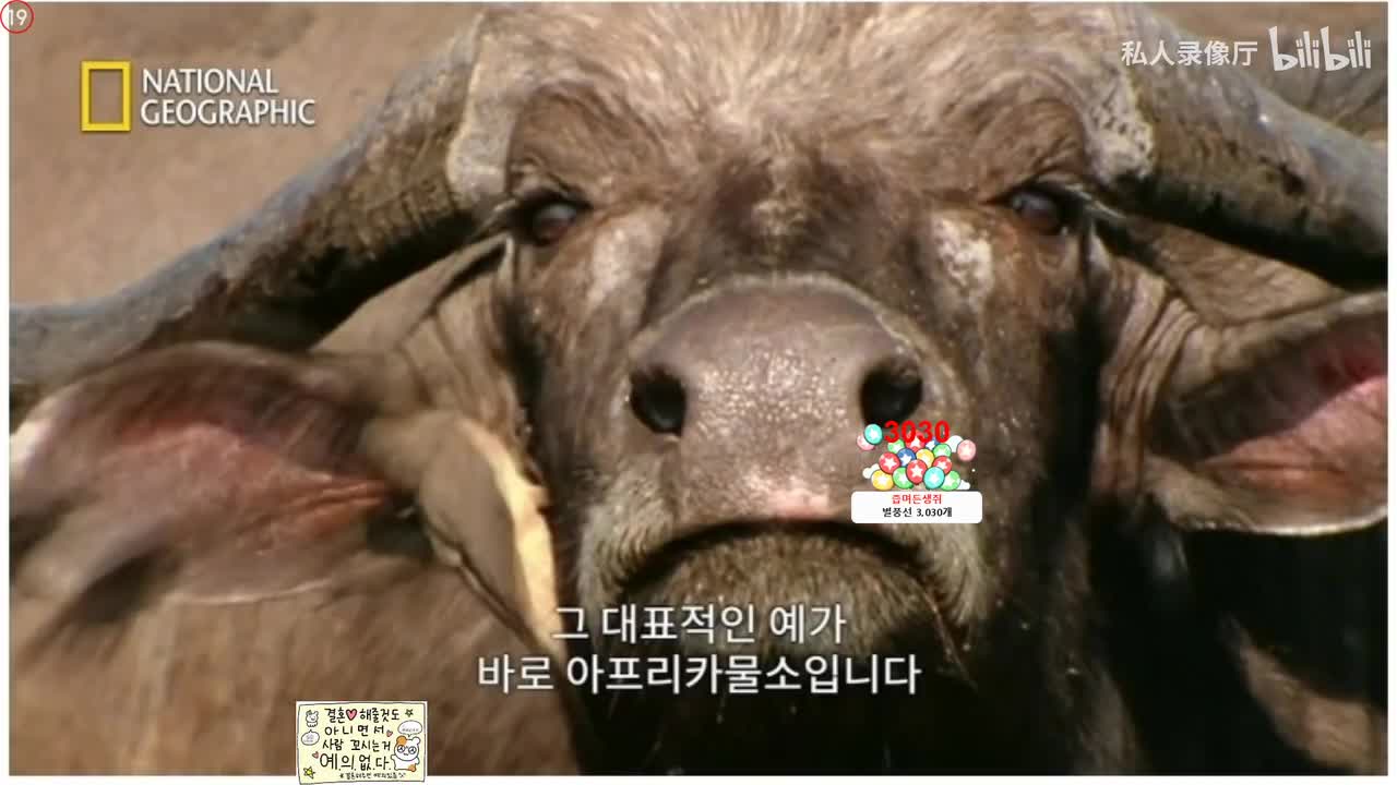 世妍 m0m0992024-06-03T11_07_00