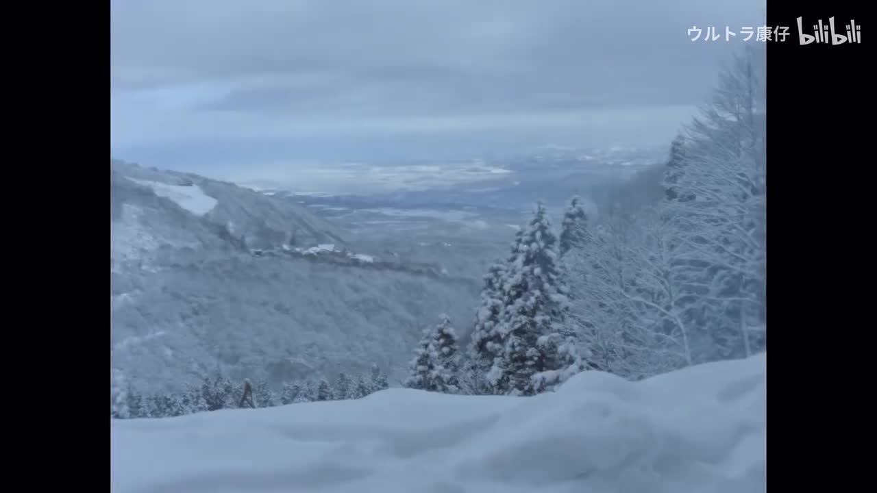 42.冬日怪谈之再现的怪兽鸟（上）