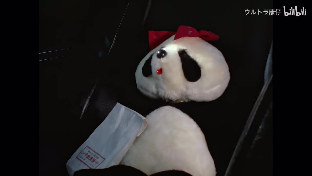 40.还我熊猫（下）