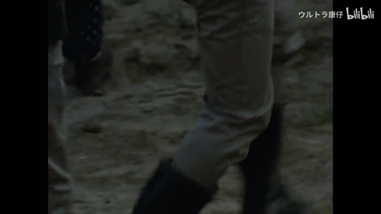 49.翱翔在空中的水母（下）