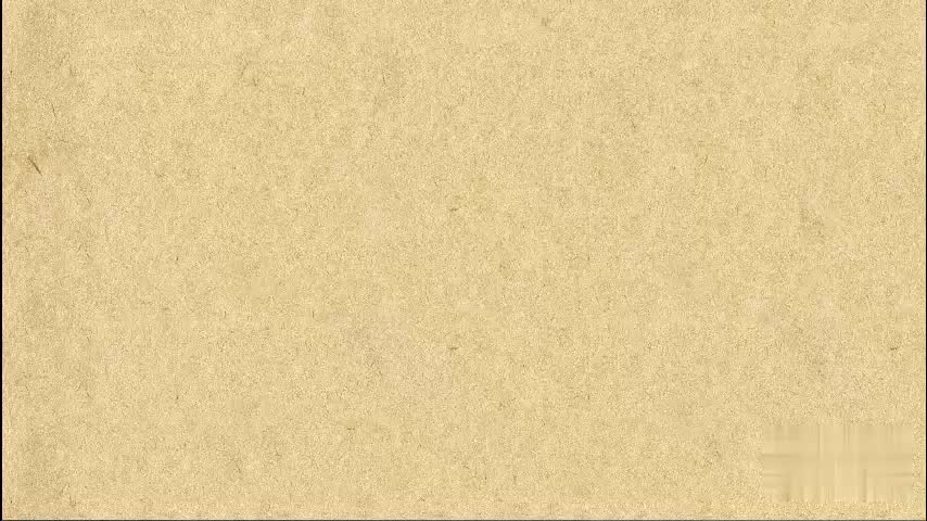 41-6 鸟头模型