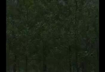 骚姐夫碰见浪小姨2