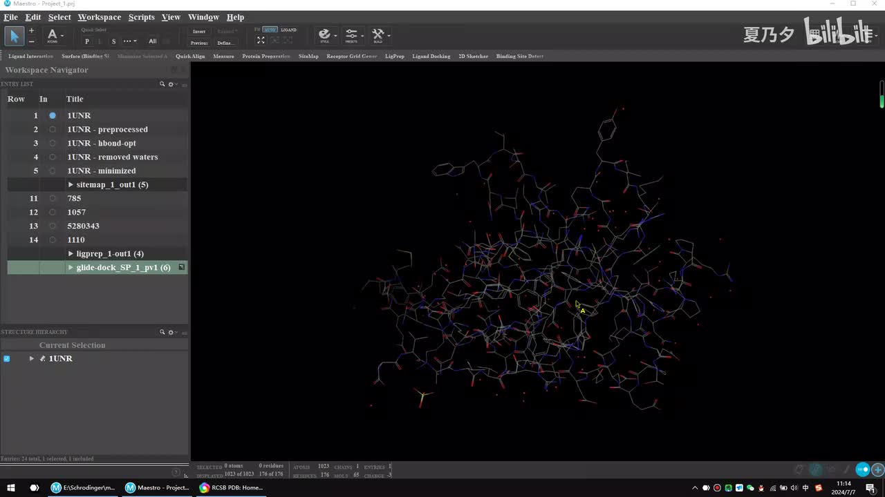 2.薛定谔分子对接整体流程
