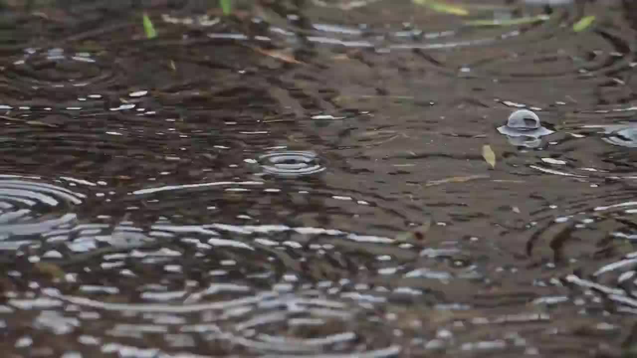 雨滴 波纹特写 雨水 #0914