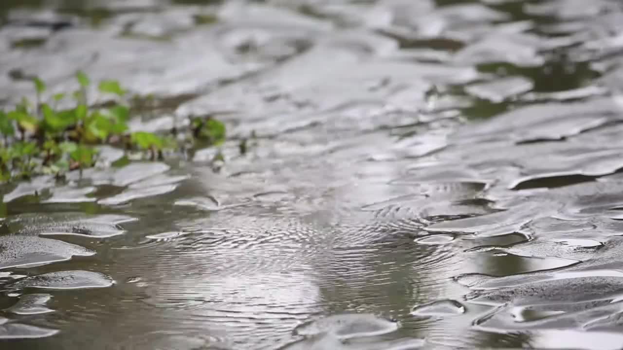 雨水 泥土 水波 #0915