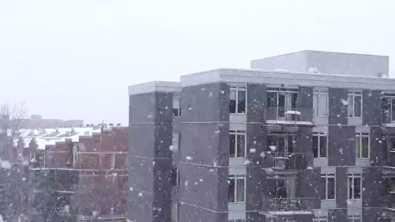 下雪天的楼房 大雪 #1009
