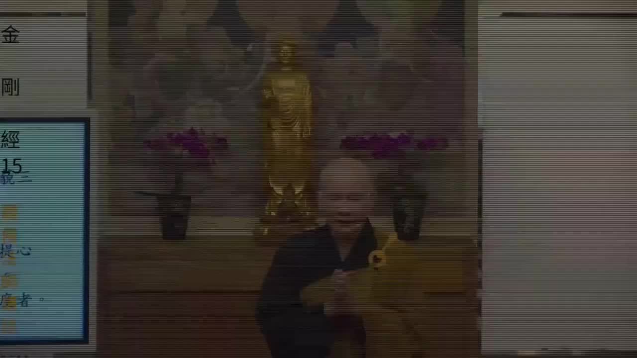 《金刚经》解读第15集