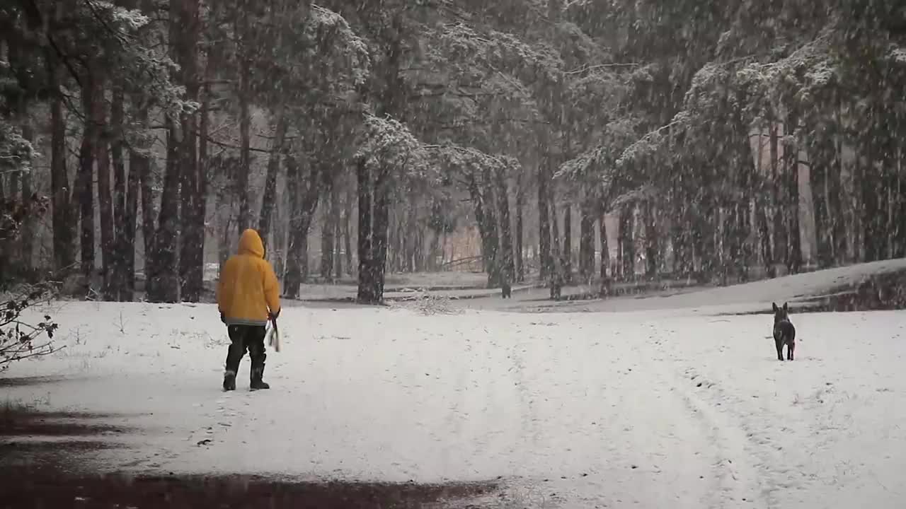 风雪遛狗人 #1014