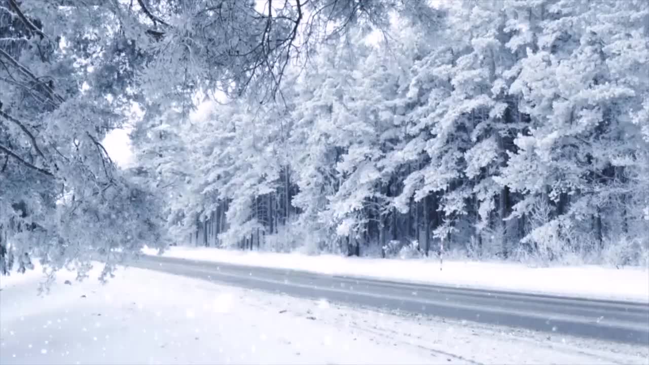 洁白的树林 雪花 #1003