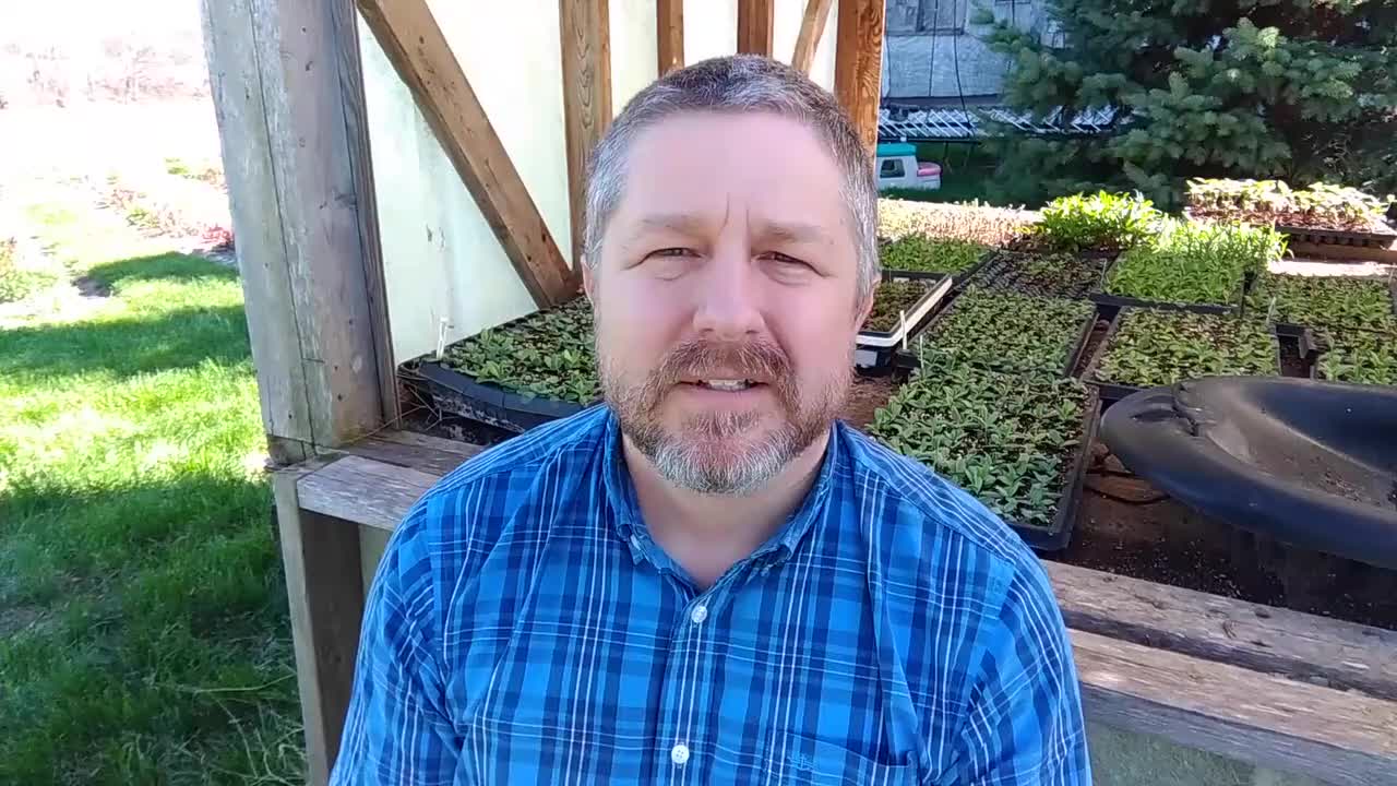 36.[20190507] Learn English Words and Ph...