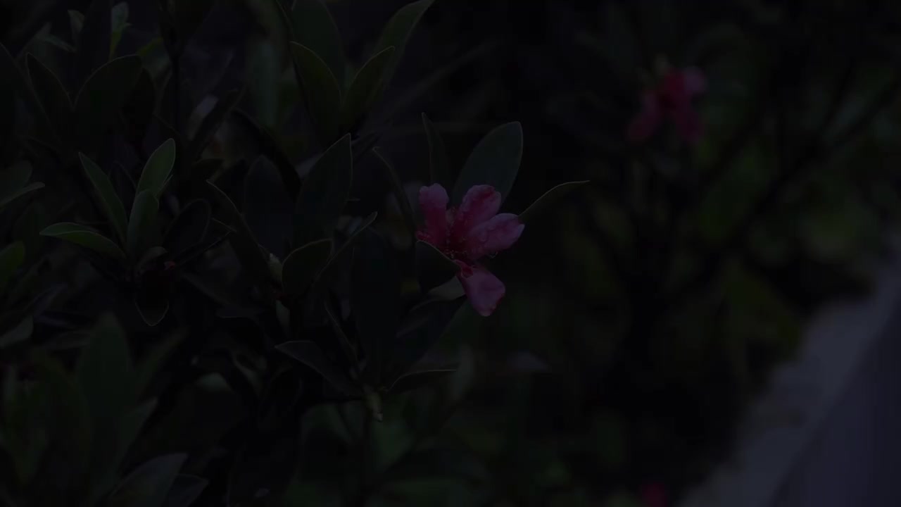 PART.1 抵达与入住游戏ON！