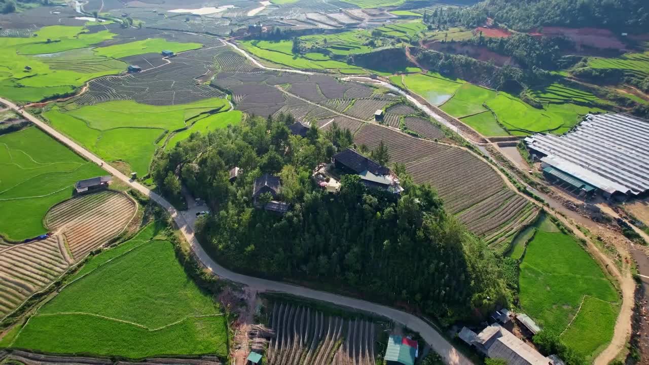 稻田 合集一 #4241