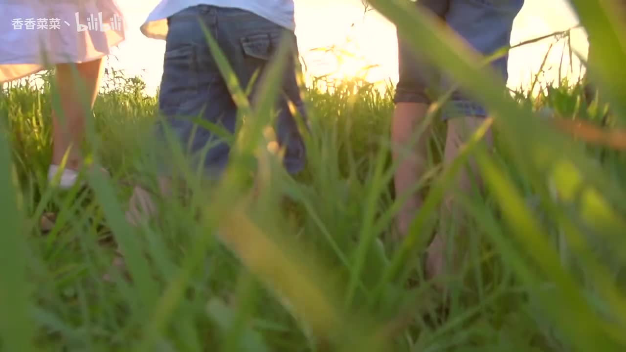 夕阳下幸福美满的一家人快乐奔跑公益宣传背景视频