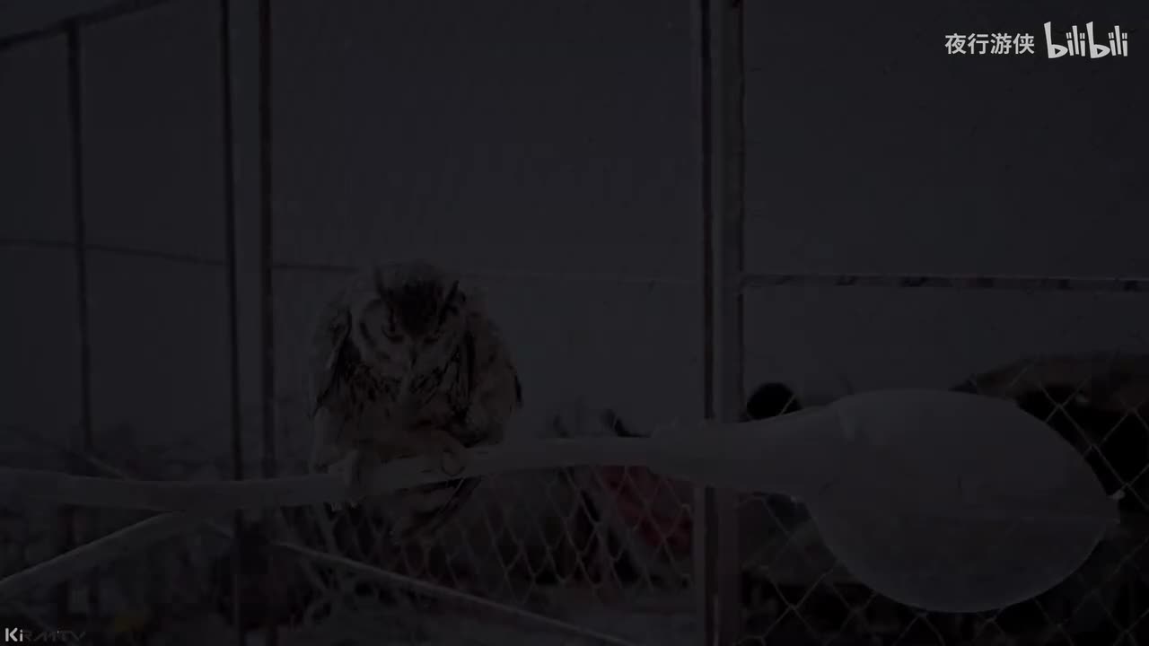 Fantastic Baby - Bigbang