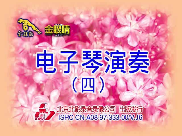 电子琴演奏（四）