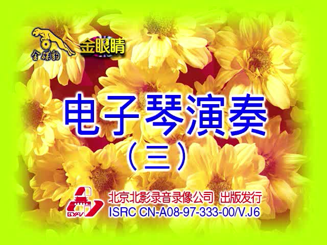 电子琴演奏（三）