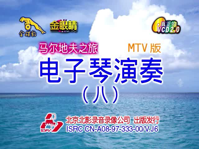 电子琴演奏（八）